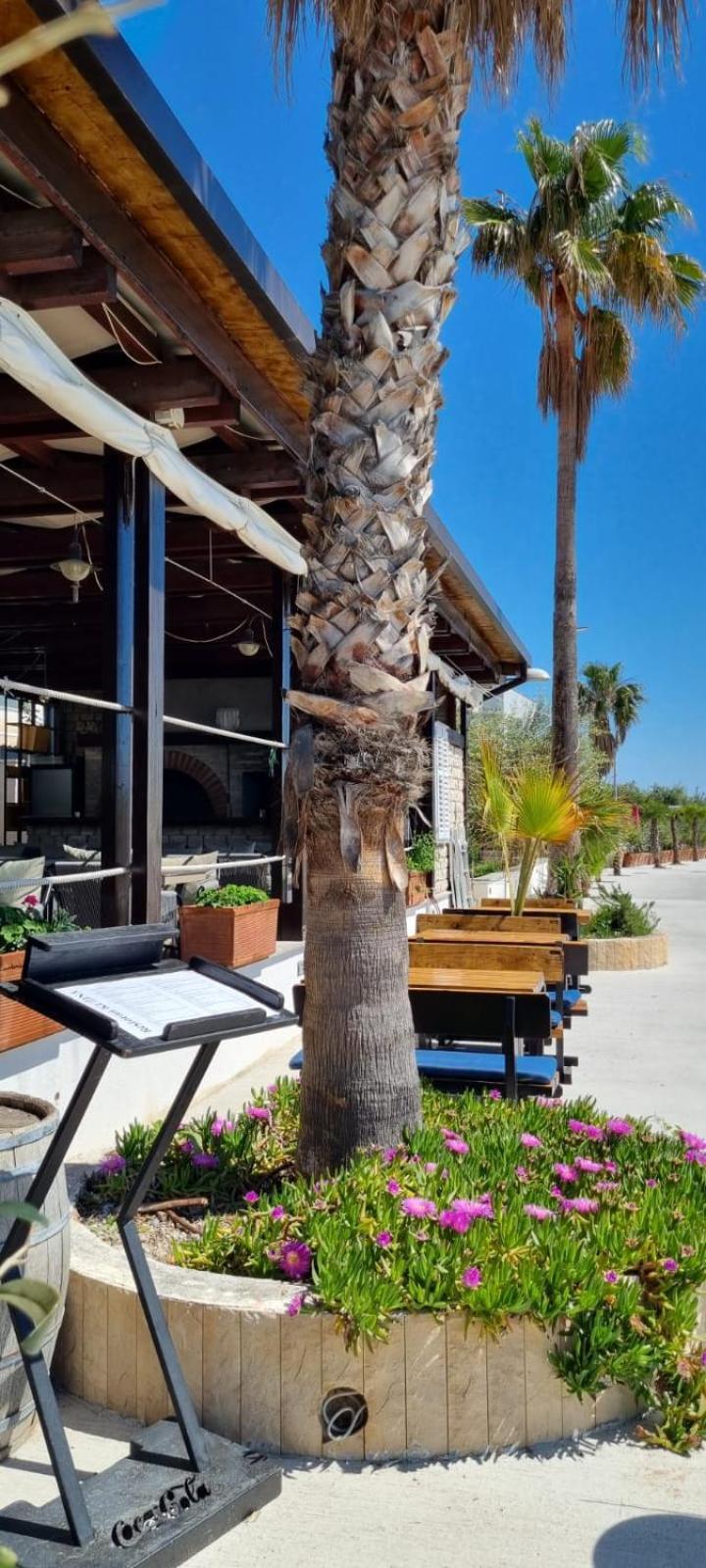 Hotel San Antonio Podstrana Dış mekan fotoğraf
